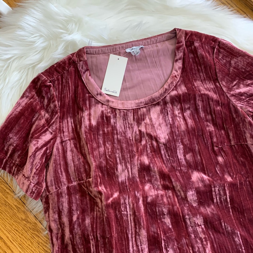 Splendid Women's Velvet Short Sleeve Tee Ruby - Picture 5 of 8